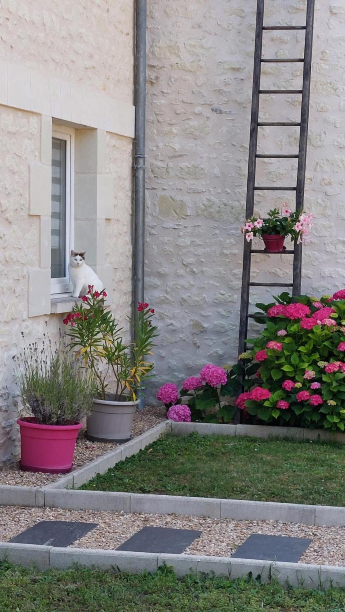 Gite Amanala Poitou Saint-Genest-d'Ambiere 외부 사진
